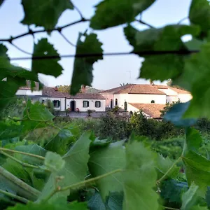 Vakantiehuis Etna